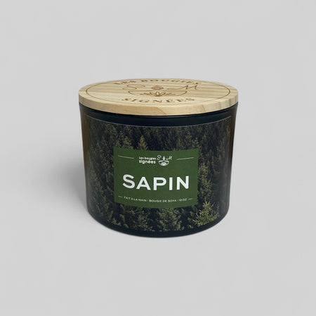 épinette

soja

sapin beaumier

sapin

puissant

populaire

odeur

nature

légèrement sucré

hiver

herbes

envoûtant

chandelle

chalet

candle

camphrées d'épinettes

bougie

boisé

bois

arômes

arôme naturel

ambiance chalet

aiguille de pin

8 oz

3 meche

12 oz

bougie , sapin de noel , ambiance , pine , givrée , christmas smell, green , candle , chandelle ,bougie