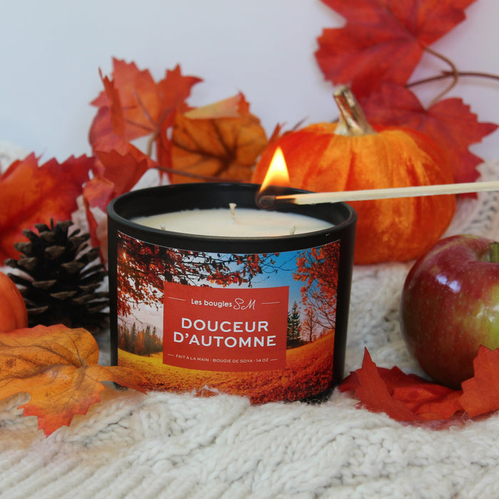épicé

verger

très odorante

soja

pomme verte

pomme rouge

parfum automn

oranges piquantes

odeur

notes chaudes

nature

musc

explosion harmonieuse

douceur d'automne

chandelle

cardamome

candle

Bougies SM

bougie sm

bougie parfumée

bougie de soja

bougie

bois

autumn

arômes

air frais

agrumes

8 oz

3 meche

14 oz

