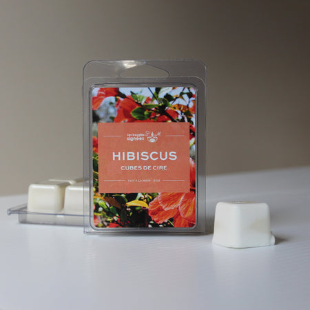 cube de cire

wax melts

arômes

fleur hibiscus

hibiscus

floral

florale

champs florales

floral envoûtant

coeur floral

coup de coeur

olfactive

douceur

tropicaux

fruits tropicaux

wax

soja

cire de soja