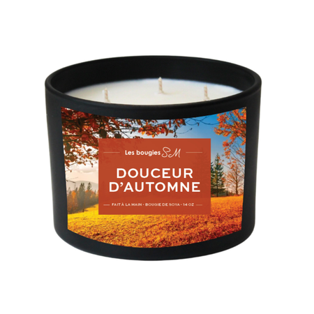 épicé

verger

très odorante

soja

pomme verte

pomme rouge

parfum automn

oranges piquantes

odeur

notes chaudes

nature

musc

explosion harmonieuse

douceur d'automne

chandelle

cardamome

candle

bougie

bois

autumn

arômes

air frais

agrumes

8 oz

3 meche

14 oz

Bougies SM

bougie parfumée

bougie sm

bougie de soja