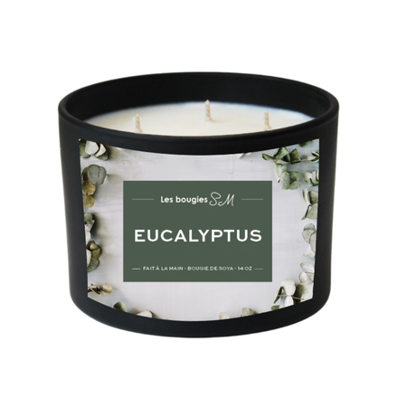 treewicks

soja

salle de bain

purifié

purification

purificateur

pure

puissant

puissance

parfum envoûtant

odeur

nature

huile essentielle

fraicheur

fragrance

eucalyptus

envoûtant

enveloppera

enrhumé

chandelle

chambre à coucher

candle

camphrées d'épinettes

camphré

bougie

arômes

arôme naturel

8 oz

3 meche

14 oz

Bougies SM

bougie de soja

bougie sm

bougie de soya

