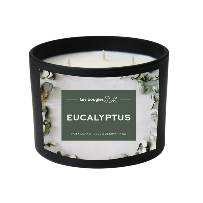treewicks

soja

salle de bain

purifié

purification

purificateur

pure

puissant

puissance

parfum envoûtant

odeur

nature

huile essentielle

fraicheur

fragrance

eucalyptus

envoûtant

enveloppera

enrhumé

chandelle

chambre à coucher

candle

camphrées d'épinettes

camphré

bougie

arômes

arôme naturel

8 oz

3 meche

14 oz

Bougies SM

bougie de soja

bougie sm

bougie de soya

