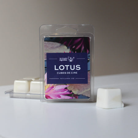 arômes

lotus

lotus blanc

coup de coeur

wax

wax melts

cube de cire

cire de soja

florale

floral

champs florales

floral envoûtant

coeur floral

oasis

fraicheur

fraicheur structurante

rafraichissante

rafraichissants

puissance

