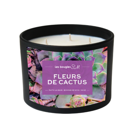 tropicaux

tige de succulente

parfum exotique

parfum envoûtant

odeur captivante

odeur

nature

fragrance

floral

fleurs désertiques

fleurs de cactus

douce évasion

douce et réconfortante

chandelle

candle

bougie

bonsaïs

bergamote

arômes

arôme naturel

8 oz

3 meche

Bougies SM

bougie parfumée

bougie de soja

bougie sm

bougie de soya

cactus

flower

soja

parfum doux

treewicks

14 oz