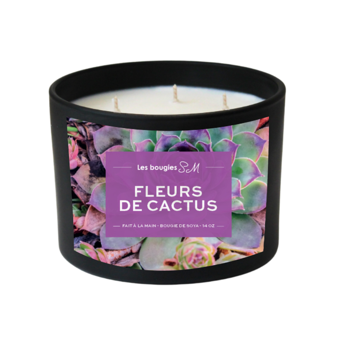 tropicaux

tige de succulente

parfum exotique

parfum envoûtant

odeur captivante

odeur

nature

fragrance

floral

fleurs désertiques

fleurs de cactus

douce évasion

douce et réconfortante

chandelle

candle

bougie

bonsaïs

bergamote

arômes

arôme naturel

8 oz

3 meche

Bougies SM

bougie parfumée

bougie de soja

bougie sm

bougie de soya

cactus

flower

soja

parfum doux

treewicks

14 oz