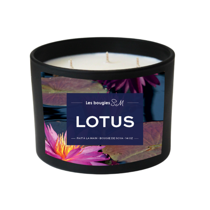 treewicks

sérénité

soja

rafraichissants

rafraichissante

pureté

parfum naturel

parfum frais

parfum floraux

parfum envoûtant

parfum délicat

parfum doux

odeur

oasis

nature

lotus blanc

lotus

fraicheur

fragrance

florale

floral envoûtant

floral

envoûtant

délicatement

délicate

douce et réconfortante

coeur floral

chandelle

candle

bougie

arômes

arôme naturel

8 oz

3 meche

14 oz

Bougies SM

bougie parfumée

bougie de soja

bougie sm

bougie de soya

