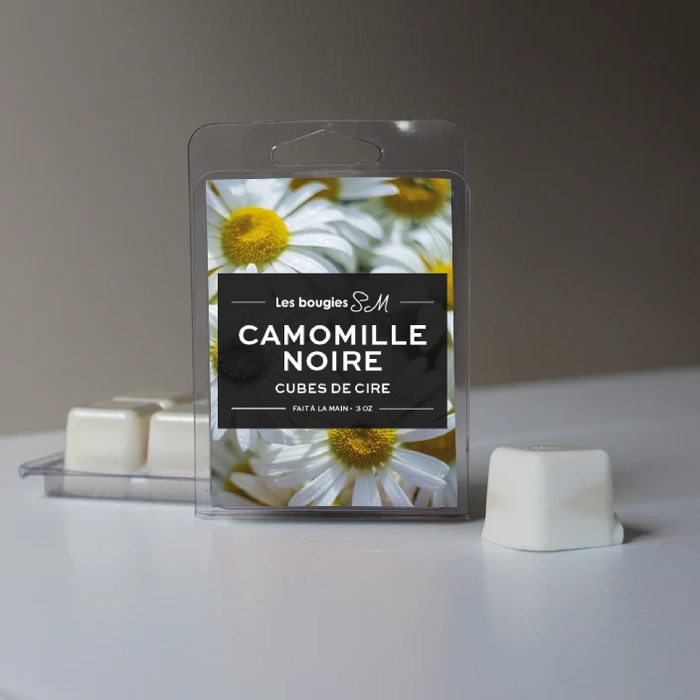 wax

wax melts

waxmelt

melt

cube

masculine

atmosphère masculine

cube de cire

parfum automn

douceur d'automne

autumn

cozy

cozyness

3 oz

Bougies SM

bougie sm

soya

soja

cire de soja

cire de soya