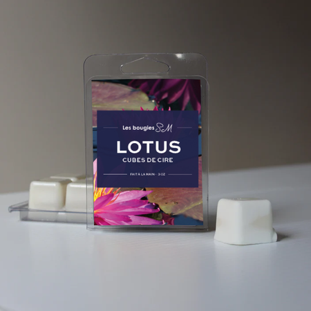 wax melts

wax

rafraichissants

rafraichissante

puissance

oasis

lotus blanc

lotus

fraicheur structurante

fraicheur

florale

floral envoûtant

floral

cube de cire

coup de coeur

coeur floral

cire de soja

champs florales

arômes

Bougies SM

bougie sm

cire de soya

soja

3 oz

